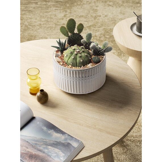 LE TAUCI Sukkulenten Topf, 16,5+20 cm Keramik Blumentopf für den Innenbereich mit Entwässerungslöchern, Moderner Zylindrischer Dekorativer Blumentopf, Geschenke für Mama, 2er-Set, Stern Weiß