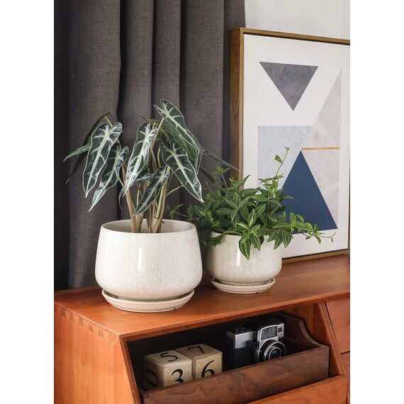 LE TAUCI Keramik Blumentöpfe mit Untersetzer, 10+13+16 cm Durchmesser Klein Blumentöpfe Set, 3er Set Übertöpfe für Zimmerpflanzen, Pflanztöpfe mit Abflussloch, Reaktive Glasur Beige