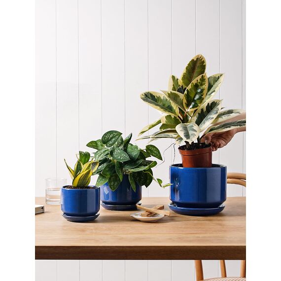 LE TAUCI 3er Pack Keramik Blumentöpfe, 11+13+17 cm Durchmesser Klein Übertöpfe Set, Blumentopf für Zimmerpflanzen mit Untersetzer und Abflussloch, Saphrine Blau