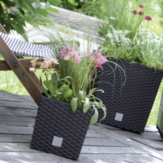 10 -Liter -Zeit Pot mit Eimer zu pflanzen in der Mocca -Farbe 22,3 x 22,3 x 22,8 cm.