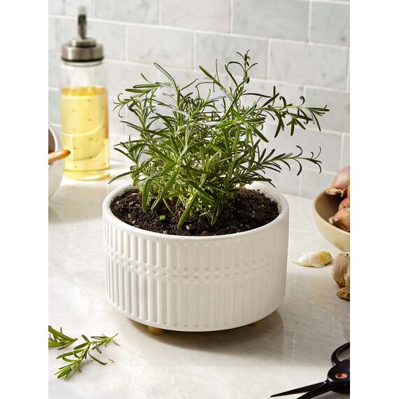 LE TAUCI Sukkulenten Topf, 16,5+20 cm Keramik Blumentopf für den Innenbereich mit Entwässerungslöchern, Moderner Zylindrischer Dekorativer Blumentopf, Geschenke für Mama, 2er-Set, Weiß