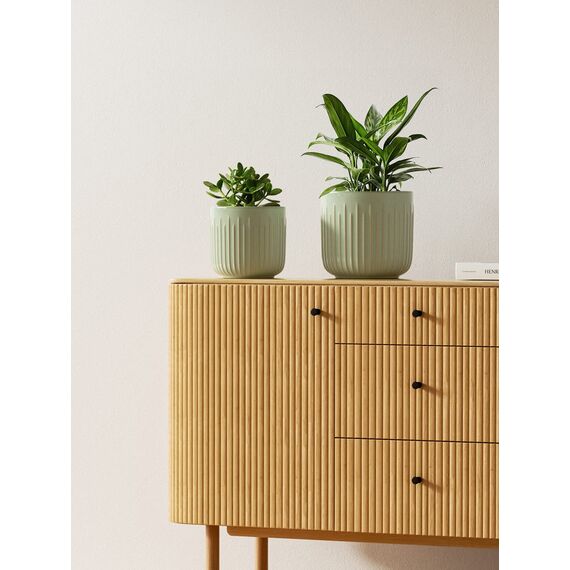 LE TAUCI 3er Set Blumentopf Keramik, 21+17+14 cm Durchmesser Ubertopf für Zimmerpflanzen, Plfanztopf mit Drainagelöchern, Mittelgroßer Zylinder Blumentopf, Reaktive Glasur Salbeigrün