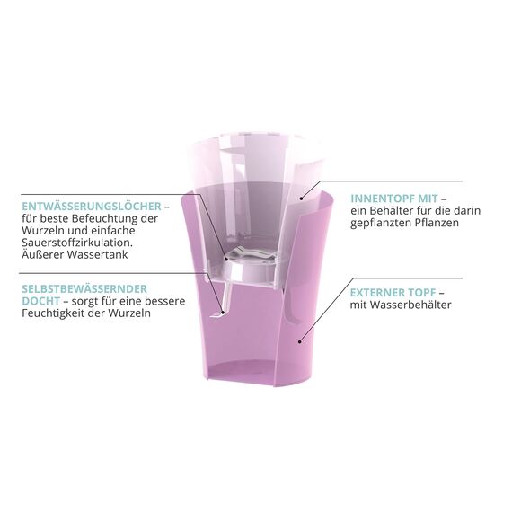 Santino 2er-Set Orchideentopf transparent mit selbstbewässerndem Dochtsystem - D 15 cm - Transparent - 2 L