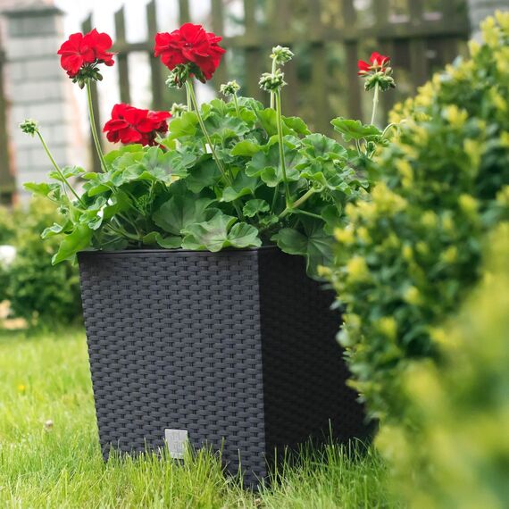 Prosperplast Blumentopf Rato Low (Rattanoptik, herausnehmbarer Einsatz, 32x32x32,5 cm, 32 l, mocca) DRTS325L-7529U