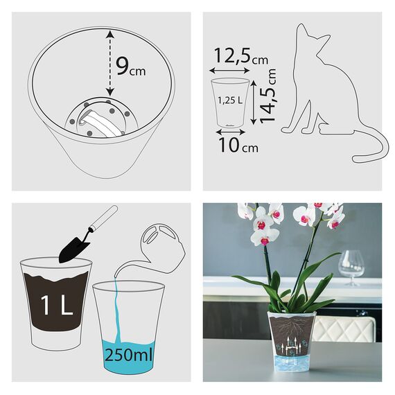 Santino 6er-Set Orchideentopf transparent mit selbstbewässerndem Dochtsystem - D 15 cm - Transparent - 2 L