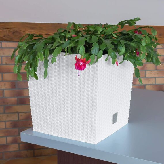 10 -Liter -Zeit -Topf mit weißem Plantar -Eimer 22,3 x 22,3 x 22,8 cm.