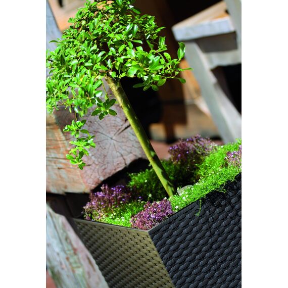 10 -Liter -Zeit Pot mit Eimer zu pflanzen in Anthrazitfarbe 22,3 x 22,3 x 22,8 cm.