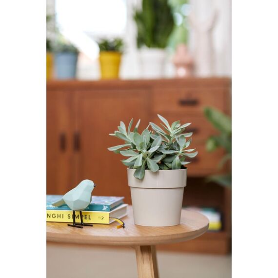 elho B.for Original Rund 25 - Blumentopf für Innen - Ø 24.7 x H 23.2 cm - Grau/Warmes Grau