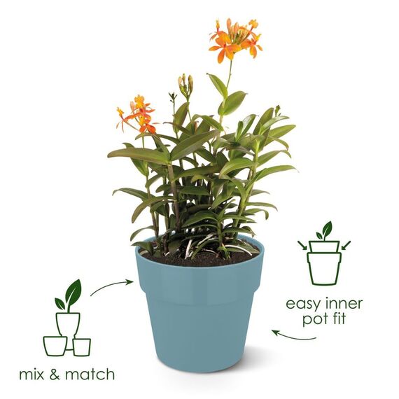 Elho B.for Original Rund 22 - Blumentopf - Maulbeer - Drinnen - Ø 22 x H 20.3 cm