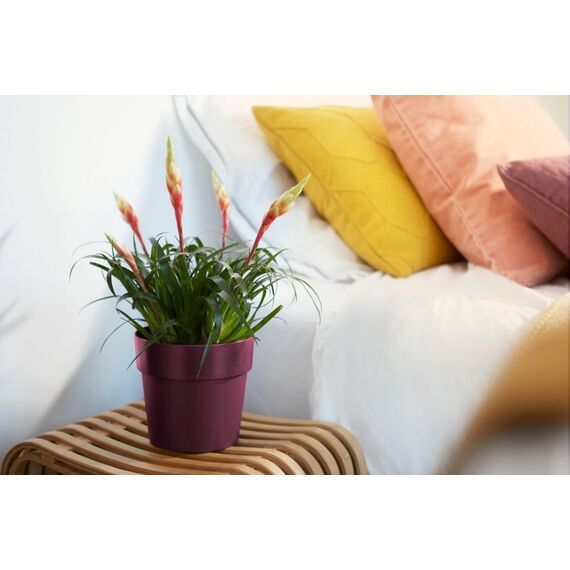 Elho Rund b.for Blumentopf Original, 2 liters, Maulbeer, 16 cm