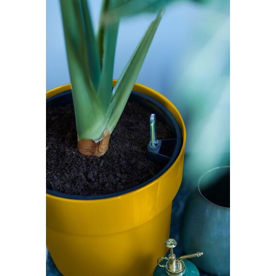 elho B.for Original Rund 35 - Blumentopf für Innen - Ø 35.0 x H 32.0 cm - Gelb/Ocker