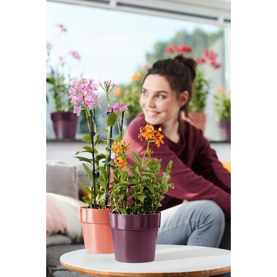 Elho Rund b.for Blumentopf Original, 2 liters, Maulbeer, 16 cm