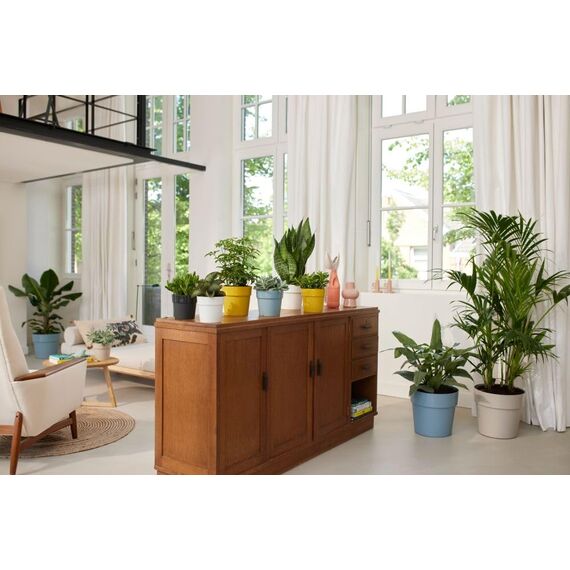 elho B.for Original Rund 30 - Blumentopf für Innen - Ø 29.5 x H 27.3 cm - Grau/Warmes Grau