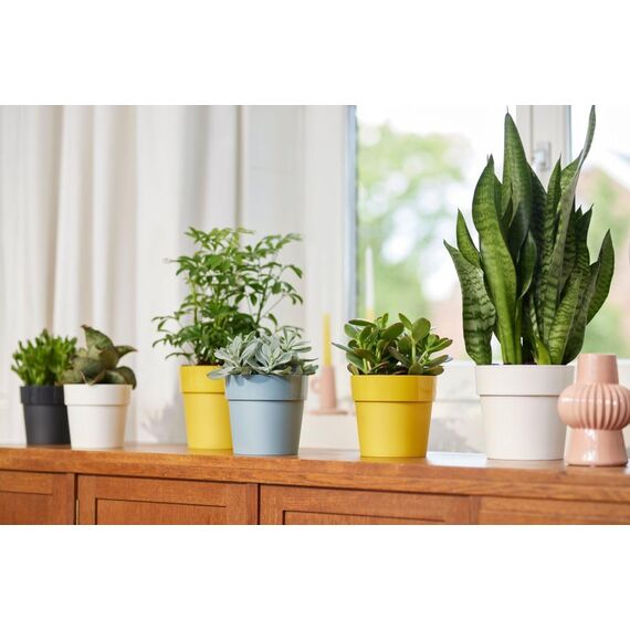 elho B.for Original Rund 35 - Blumentopf für Innen - Ø 35.0 x H 32.0 cm - Grau/Warmes Grau