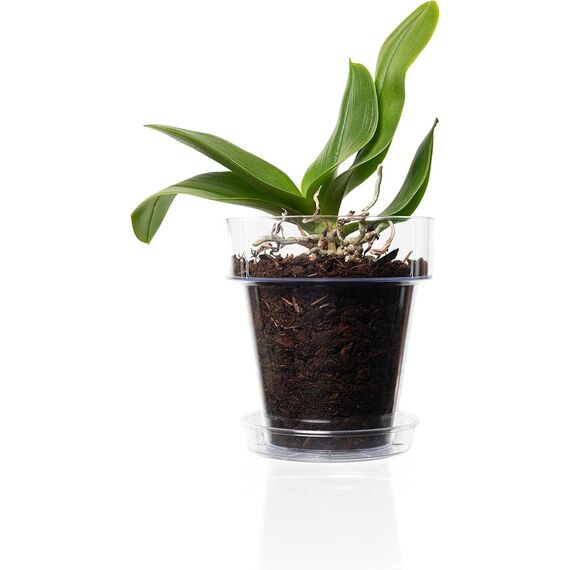 Kalapanta Orchideentopf transparent aus Kunststoff mit Abflusslöchern und Untertasse (1, Ø 14 cm)