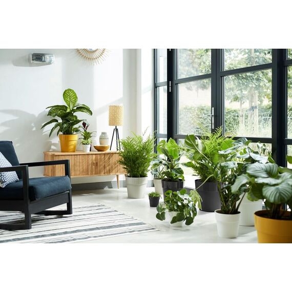 elho B.for Original Rund 35 - Blumentopf für Innen - Ø 35.0 x H 32.0 cm - Grau/Warmes Grau