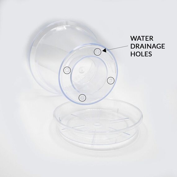 Kalapanta 5 transparente Plastiktöpfe für Orchideen mit Entwässerungslöchern und 5 Untersetzers (5, Ø 14 cm)