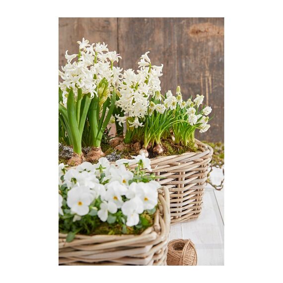 Dehner Rattan-Pflanzkasten, ca. 40 x 23 x 20 cm, Rattangeflecht, grau/braun