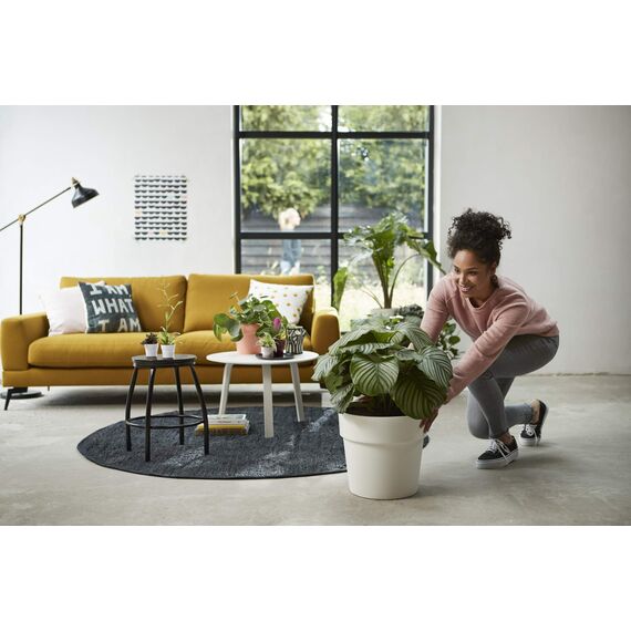 Elho B.for Original Rund Wheels 35 - Blumentopf - Maulbeer - Drinnen - Ø 35 x H 32 cm