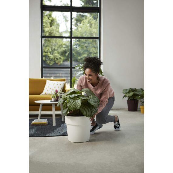 Elho B.for Original Rund Wheels 35 - Blumentopf - Maulbeer - Drinnen - Ø 35 x H 32 cm