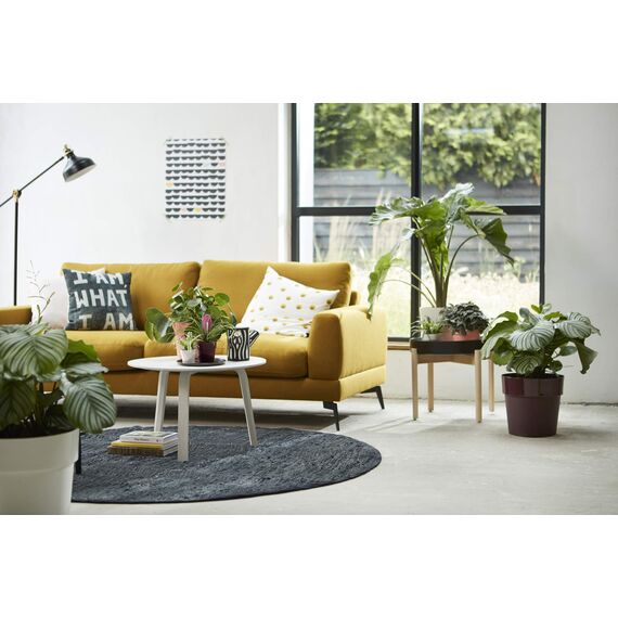 elho B.for Original Rund 22 - Blumentopf für Innen - Ø 22.0 x H 20.3 cm - Grau/Warmes Grau