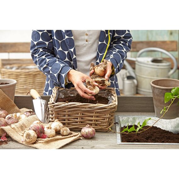 Dehner Rattan-Pflanzkasten, ca. 40 x 23 x 20 cm, Rattangeflecht, grau/braun