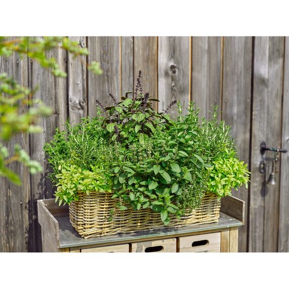 Dehner Rattan-Pflanzkasten, ca. 40 x 23 x 20 cm, Rattangeflecht, grau/braun