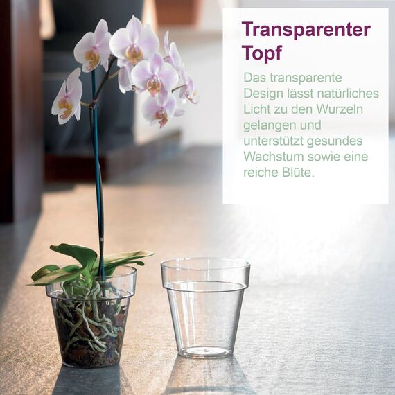 Kalapanta 5 transparente Plastiktöpfe für Orchideen mit Entwässerungslöchern und 5 Untersetzers (5, Ø 14 cm)