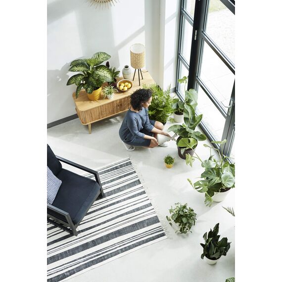 Elho b.for Blumentopf Original, Pfirsich, 16 x 16 x 14,6 cm