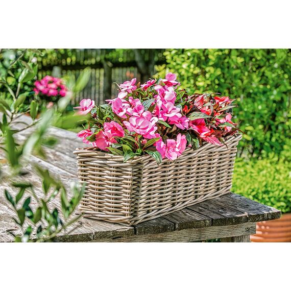 Dehner Rattan-Pflanzkasten, ca. 40 x 23 x 20 cm, Rattangeflecht, grau/braun (Packung mit 2)