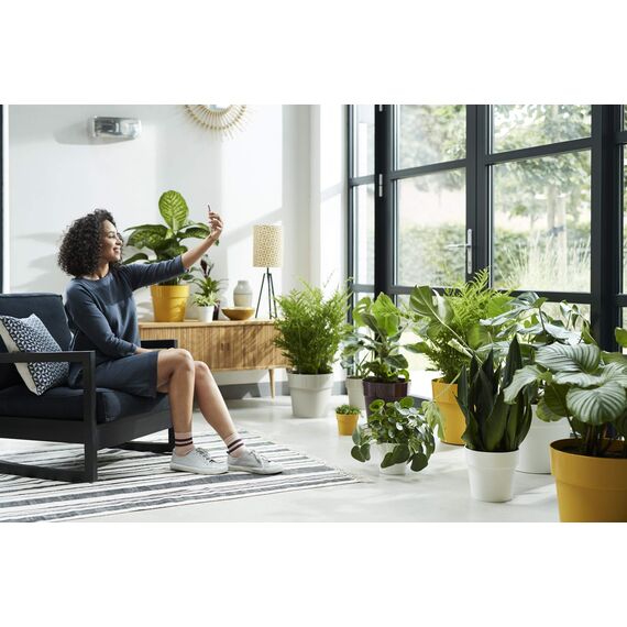 Elho B.for Original Rund Wheels 35 - Blumentopf - Maulbeer - Drinnen - Ø 35 x H 32 cm