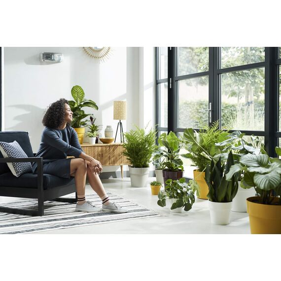 Elho B.for Original Rund Wheels 35 - Blumentopf - Maulbeer - Drinnen - Ø 35 x H 32 cm