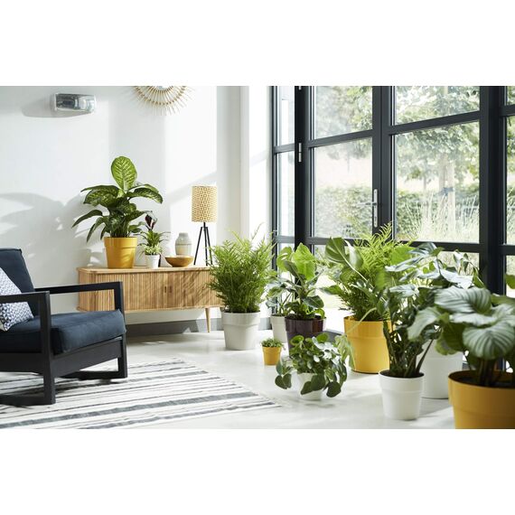 elho B.for Original Rund 22 - Blumentopf für Innen - Ø 22.0 x H 20.3 cm - Grau/Warmes Grau