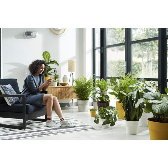 Elho B.for Original Rund Wheels 35 - Blumentopf - Maulbeer - Drinnen - Ø 35 x H 32 cm