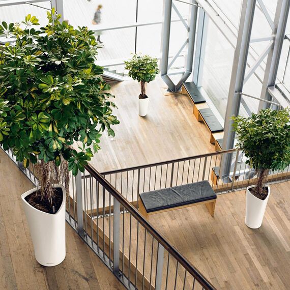 LECHUZA DELTA Premium 40 weiß hochglanz 15540