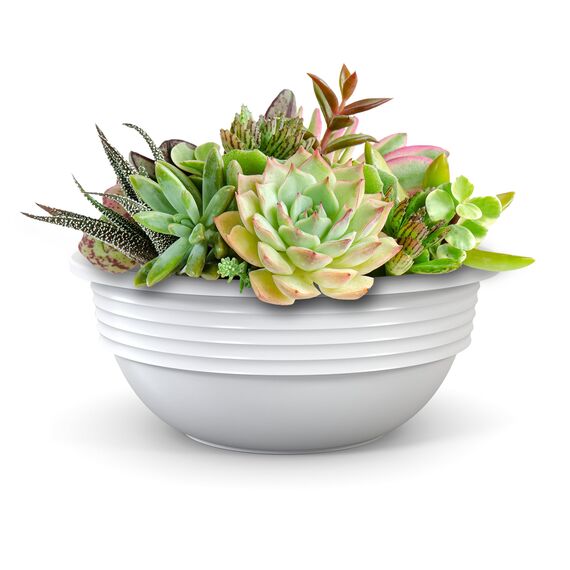 Plastard Blumenschale 45 cm Durchmesser Weiß Pflanzschale aus Kunststoff witterungsbeständiger Pflanztopf für Garten Balkon Terrasse runde Pflanzschale großes Pflanzgefäß ohne Löcher