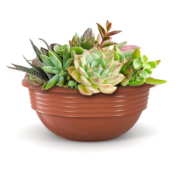 Plastard Blumenschale 25 cm Durchmesser Terrakotta Pflanzschale aus Kunststoff witterungsbeständiger Pflanztopf für Garten Balkon Terrasse runde Pflanzschale großes Pflanzgefäß ohne Löcher