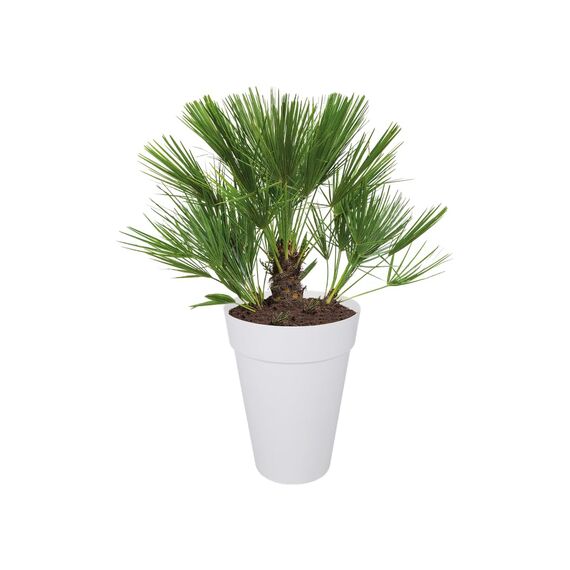 elho Loft Urban Rund Hoch 42 - Blumentopf für Außen - Ø 42.0 x H 56.0 cm - Weiß/Weiss