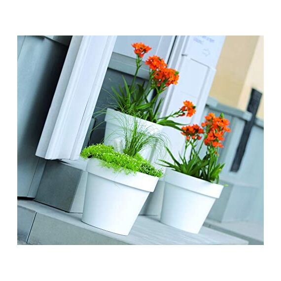 rg-vertrieb Blumentopf Blumenkübel Rund Pflanzkübel Pflanztopf Übertopf Lofly Größen & Farben wählbar (600 grau mit Rollen)