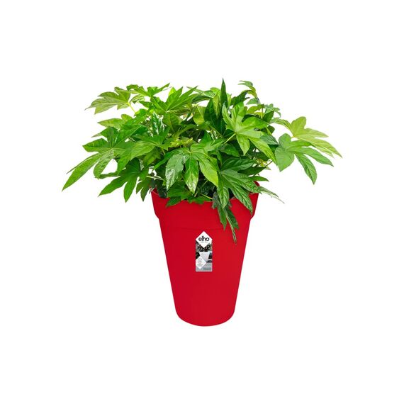 Elho Loft Urban Rund Hoch 28 - Blumentopf - Cranberry Rot - Draußen - Ø 28 x H 37.6 cm