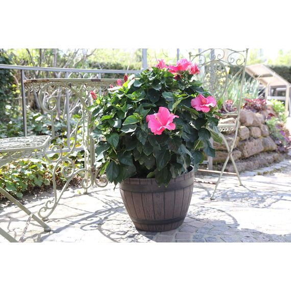 Jinfa 3er-Set Pflanzkübel aus Kunststoff in Weinfass Optik Dunkelbraun bottich Miniteich | Farbe: Kastanie | Design: Weinfass | Ø 38 cm