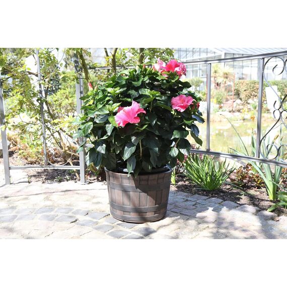 Jinfa 6er-Set Miniteich Pflanzkübel aus Kunststoff in Weinfassoptik bottich Blumenkübel | Farbe: Kastanie | Design: Barrique | Ø 36 cm