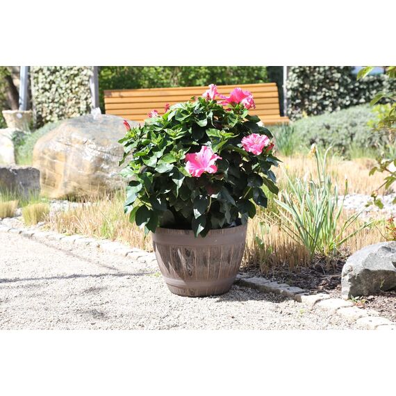 Jinfa 6er-Set Pflanzkübel aus Kunststoff in Weinfass Holzoptik bottich Miniteich | Farbe: Eiche | Design: Weinfass | Ø 38 cm