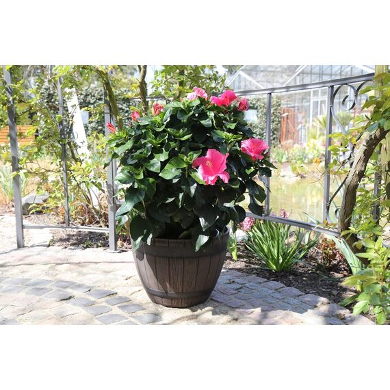 Jinfa 3er-Set Pflanzkübel aus Kunststoff in Weinfass Optik Dunkelbraun bottich Miniteich | Farbe: Kastanie | Design: Weinfass | Ø 38 cm