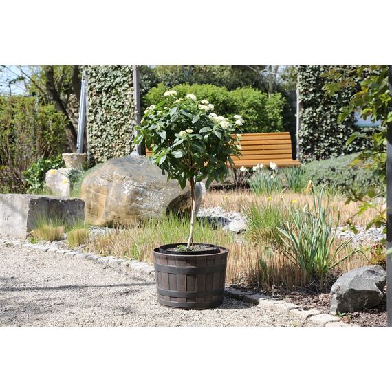 Jinfa Pflanzkübel Garten Zubehör – Wetterfest – Kunststoff Barrique Ø 36 cm Kastanie