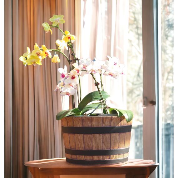 Jinfa Pflanzkübel Kunststoff Holzoptik | Farbe Walnuss | Design Barrique Ø 36 cm | Blumenkübel Übertopf Garten, Balkon & Terrasse | Wetterfest & Dekorativ