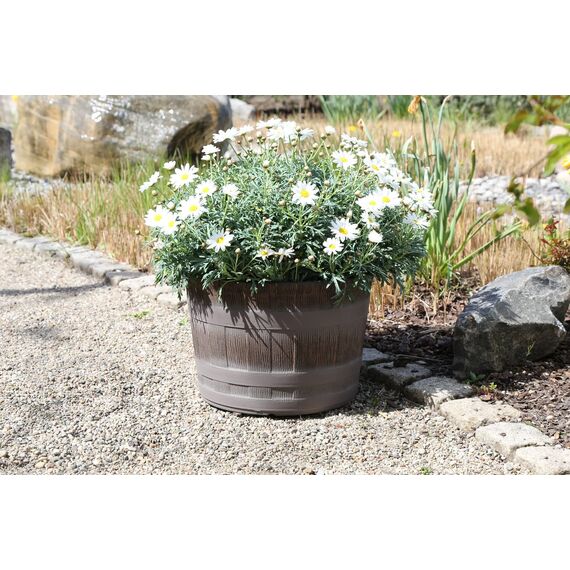 Jinfa Pflanzkübel Eiche Holzoptik Blumenkübel – Robuster Kunststoff Ø 36 cm – Für Garten, Balkon & Terrasse