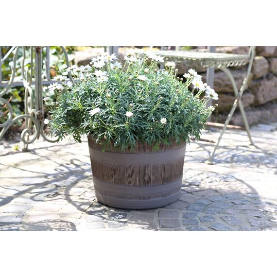 Jinfa 6er-Set Miniteich Pflanzkübel aus Kunststoff in Weinfassoptik bottich Blumenkübel | Farbe: Eiche | Design: Barrique | Ø 36 cm