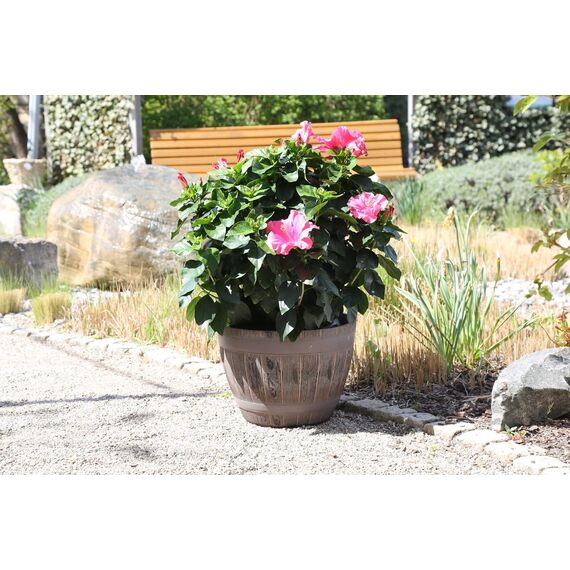 Jinfa Weinfass Pflanzkübel Kunststoff – Dekorative Holzoptik in Eiche – Ø 38 cm für Garten & Balkon