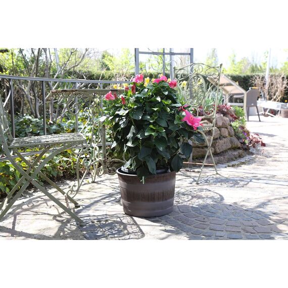 Jinfa 3er-Set Miniteich Pflanzkübel aus Kunststoff in Weinfassoptik bottich Blumenkübel | Farbe: Eiche | Design: Barrique | Ø 36 cm